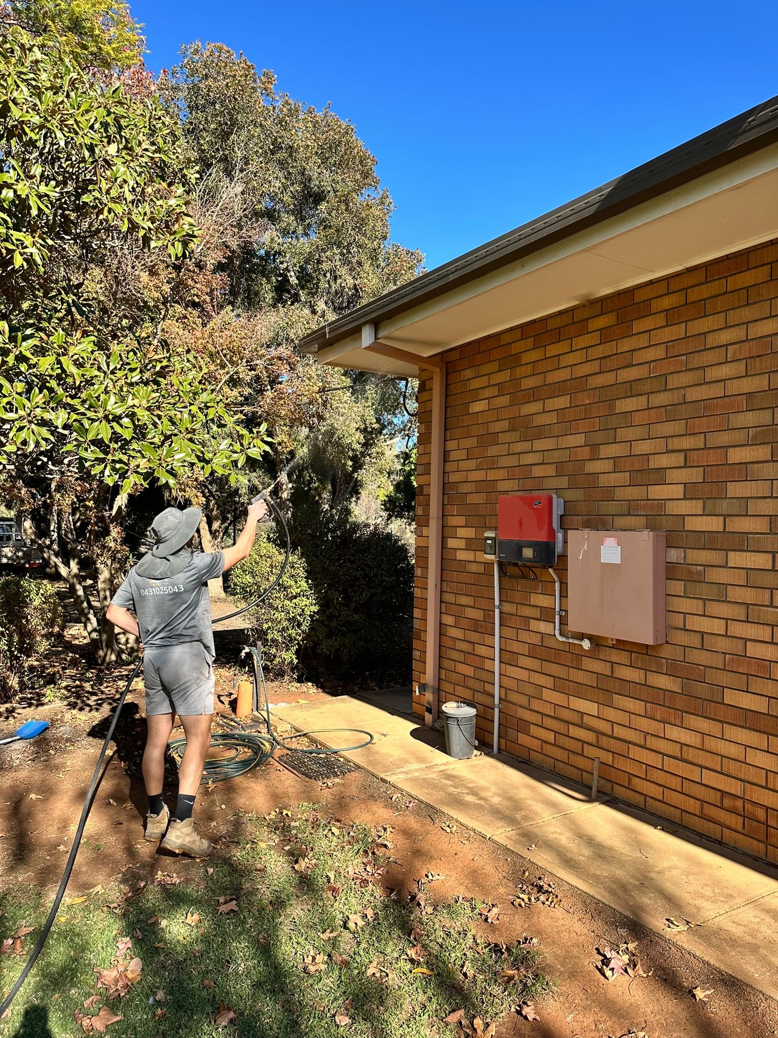 House Pest Solutions